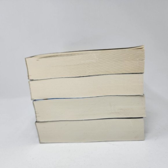 The Book of the Shepherds 4 Book Series by James L Davis - The Rages, Greyland - Picture 13 of 15